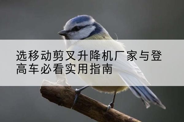 济南电动升降机厂家-选移动剪叉升降机厂家与登高车必看实用指南