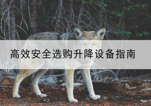 济南升降货梯厂家推荐-*安全选购升降设备指南